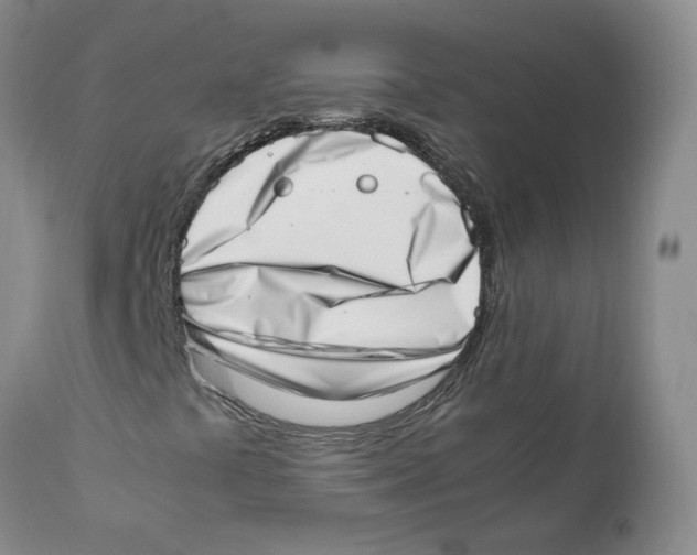 X0000111921441200908241039