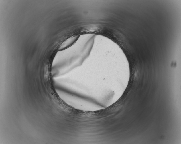 X0000111921442200908241039