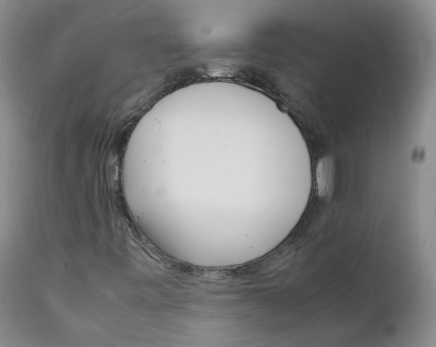 X0000111921443200908241039