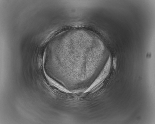 X0000111921444200908241039