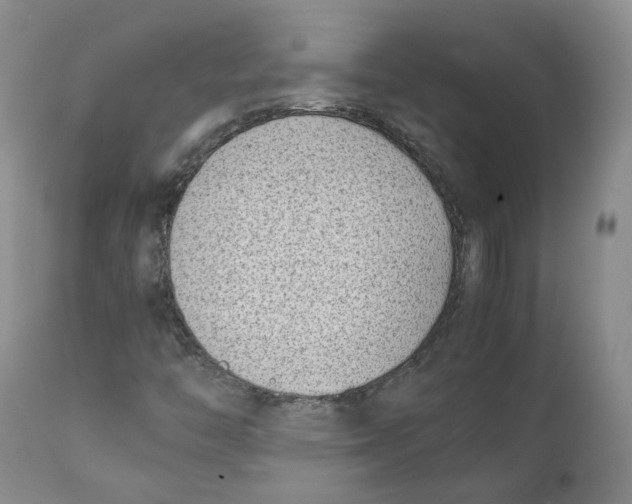 X0000111921446200908241039