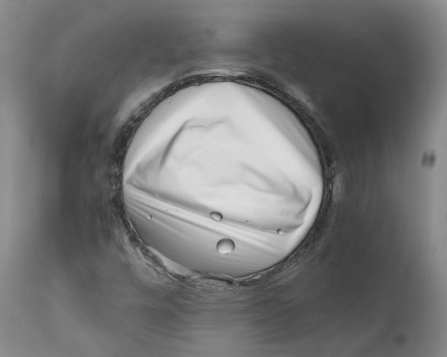 X0000111921448200908241039