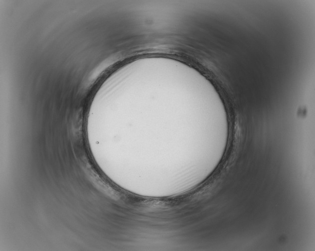 X0000111921450200908241039