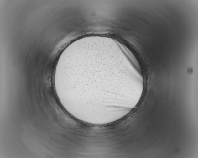 X0000111921451200908241039