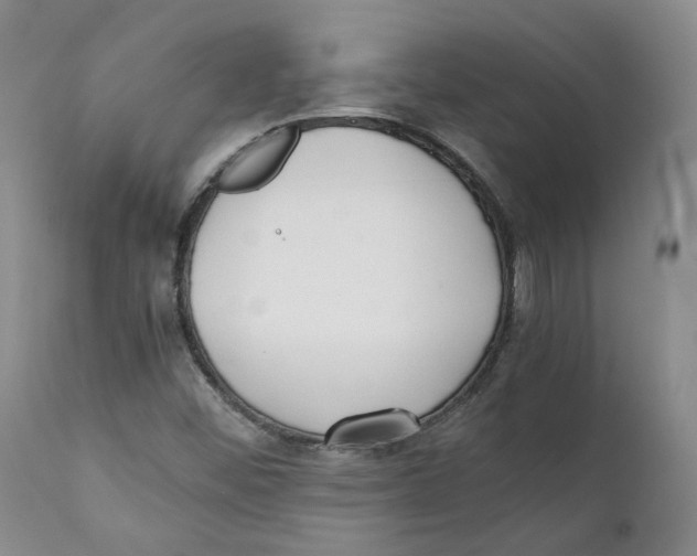 X0000111921452200908241039