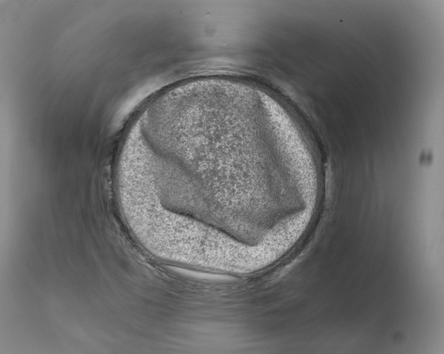 X0000111921453200908241039