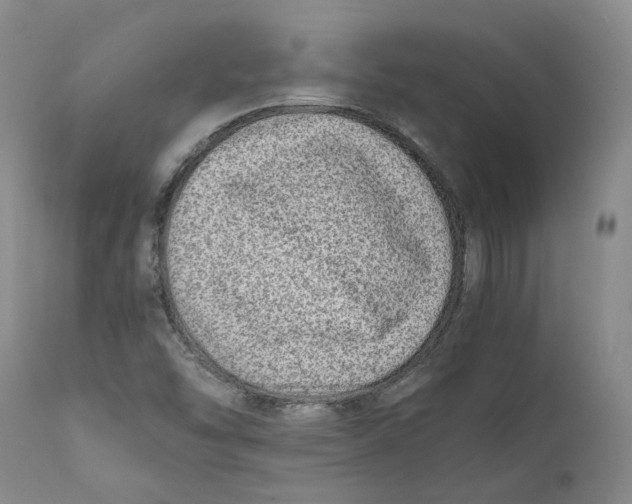 X0000111921454200908241039