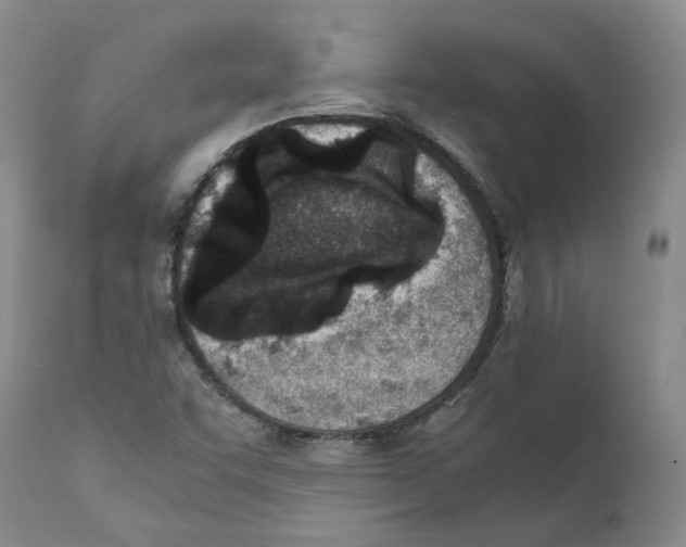 X0000111921455200908241039