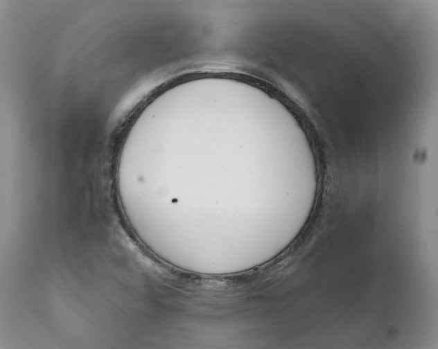 X0000111921456200908241039