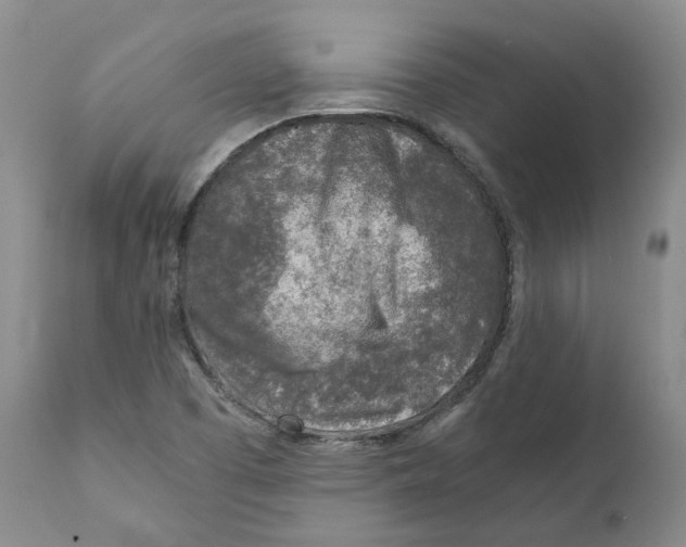 X0000111921457200908241039