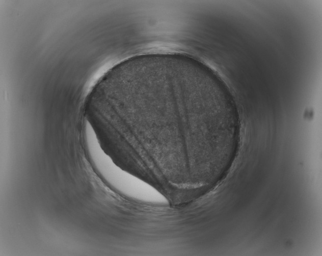 X0000111921459200908241039