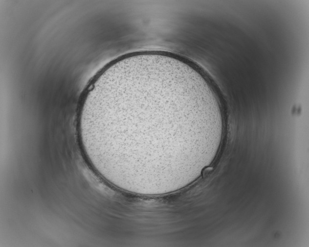 X0000111921460200908241039