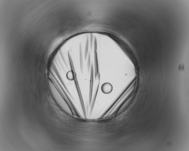 X0000111921461200908241039