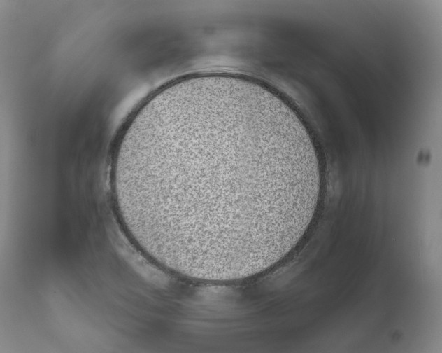 X0000111921462200908241038