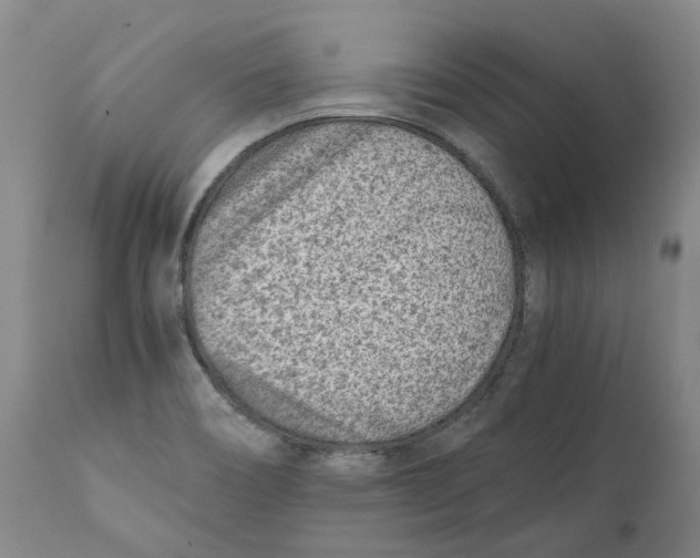 X0000111921466200908241038