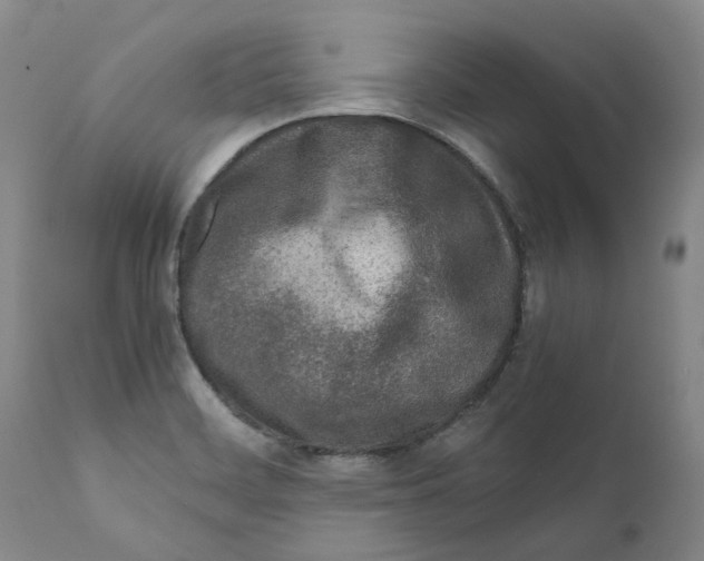 X0000111921468200908241038