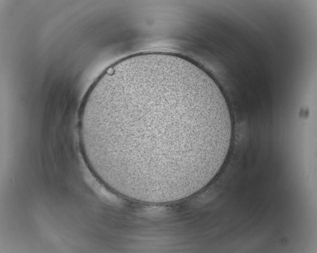 X0000111921470200908241038