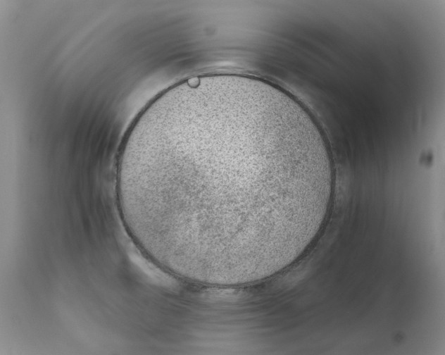 X0000111921474200908241038