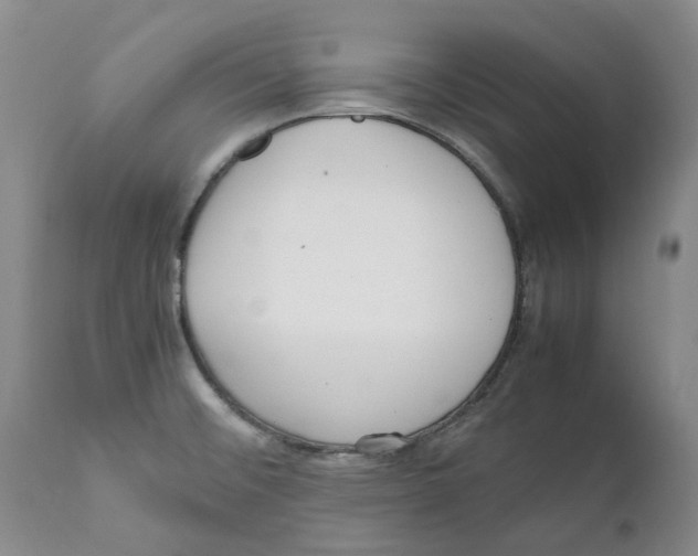 X0000111921476200908241038