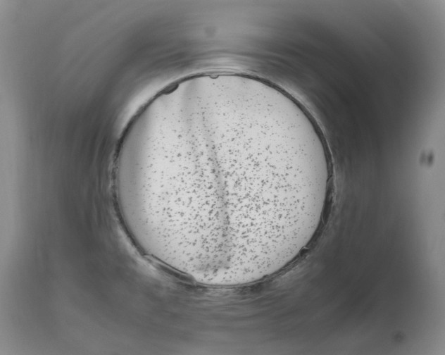 X0000111921477200908241038