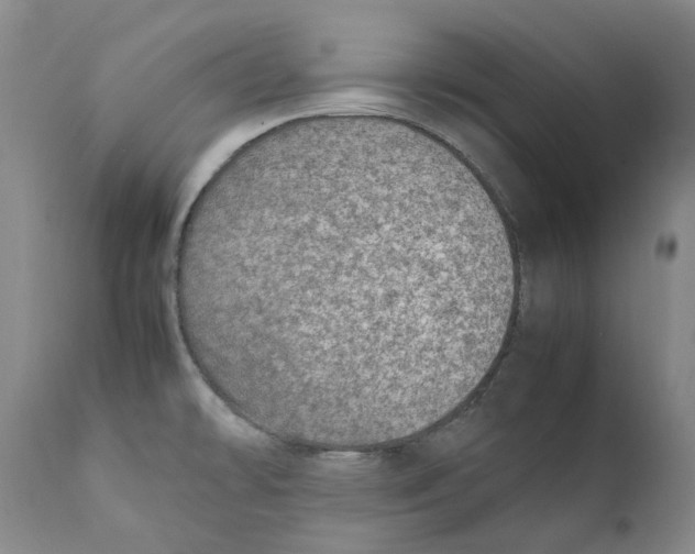 X0000111921478200908241038