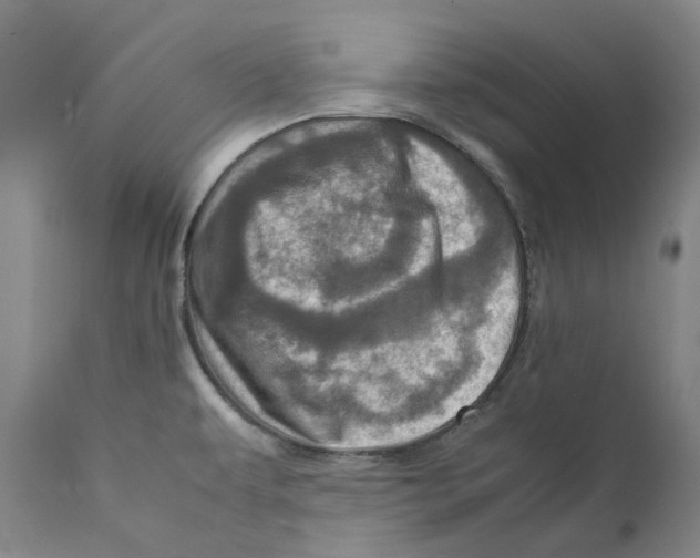 X0000111921479200908241038