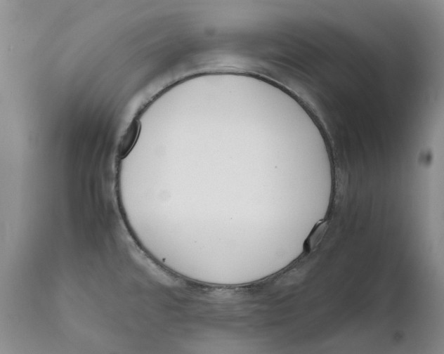 X0000111921480200908241038