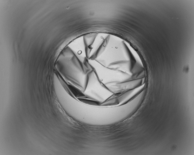 X0000111921481200908241038