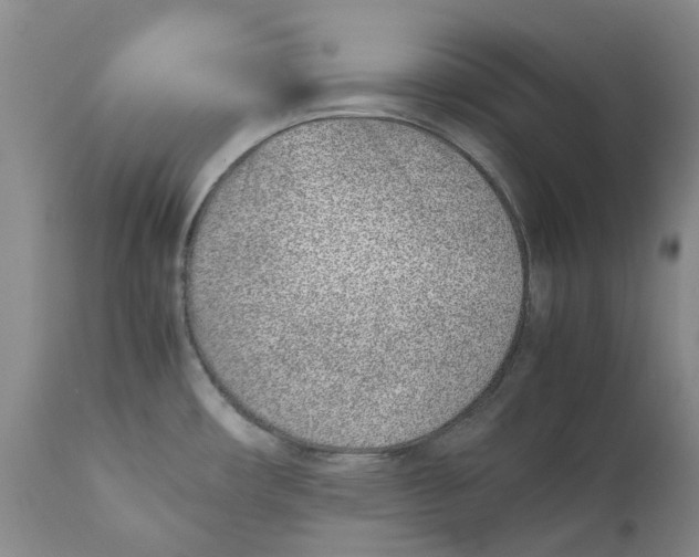 X0000111921482200908241038