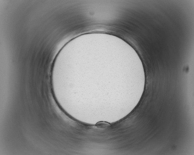 X0000111921483200908241038