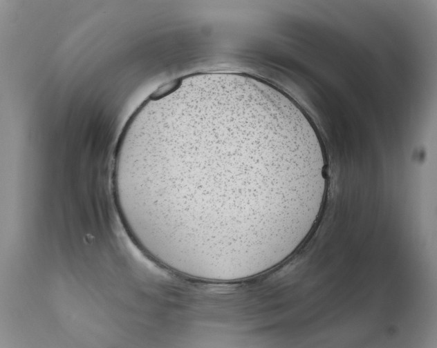 X0000111921484200908241038