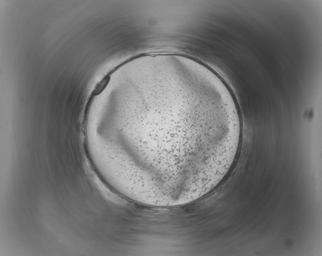 X0000111921485200908241038