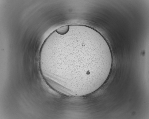 X0000111921486200908241038