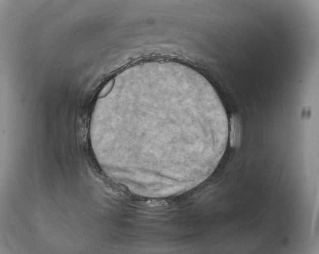 X0000111921491200908241037