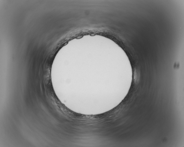 X0000111921492200908241038