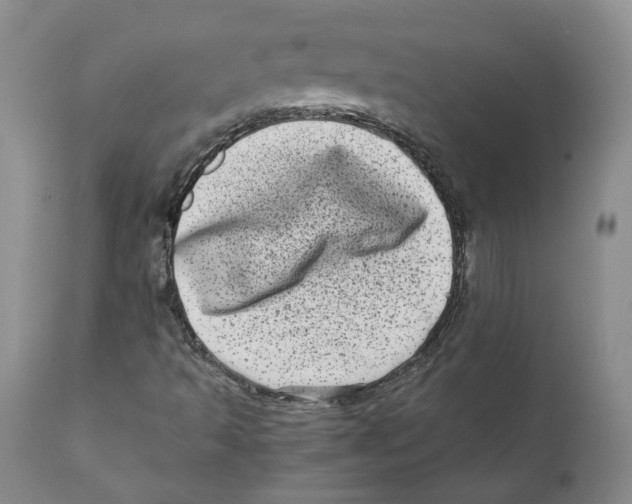 X0000111921493200908241038