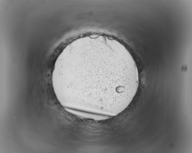 X0000111921495200908241038