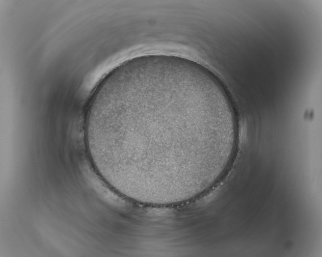 X0000111921498200908241038