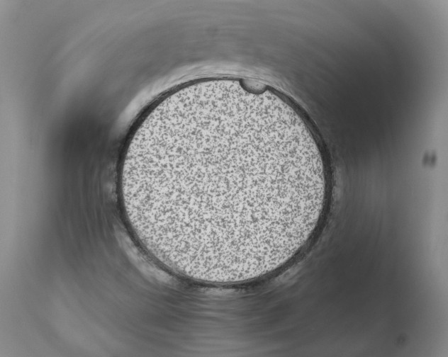 X0000111921499200908241038