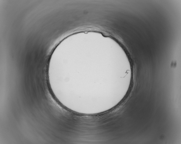 X0000111921500200908241038