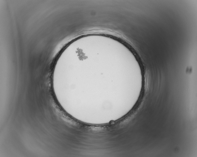 X0000111921501200908241038