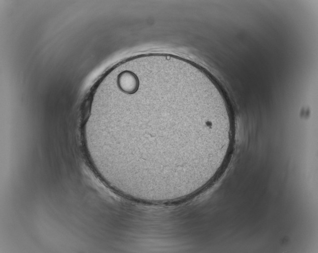 X0000111921502200908241038