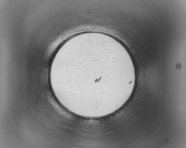 X0000111921503200908241038