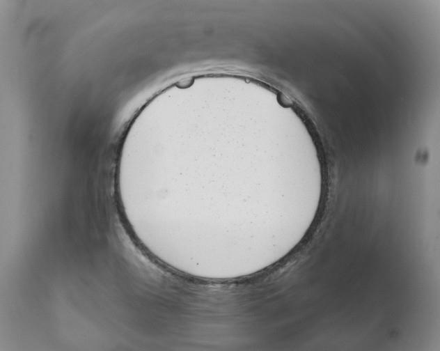 X0000111921504200908241038