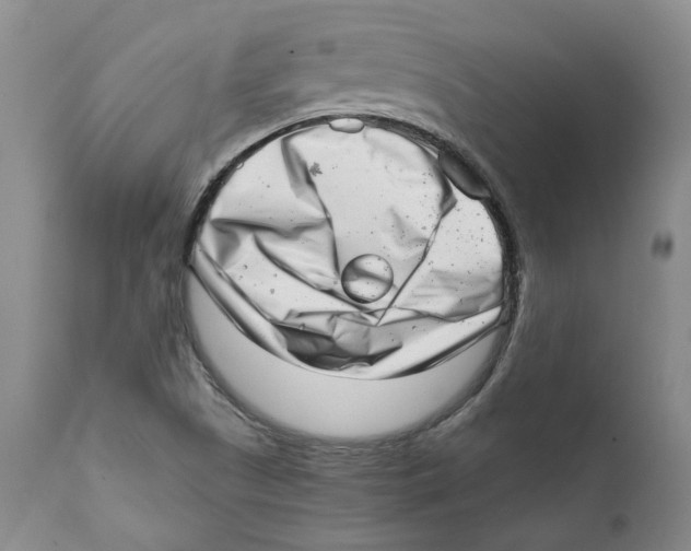 X0000111921505200908241038