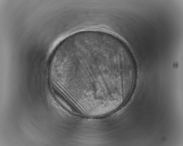 X0000111921506200908241038