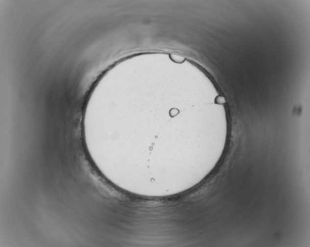 X0000111921507200908241038