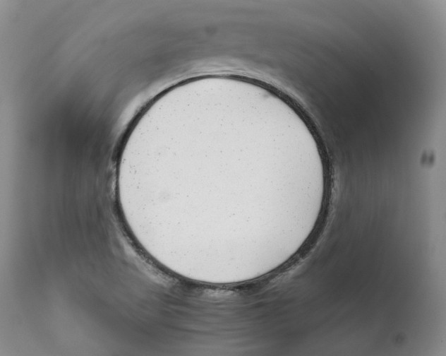 X0000111921509200908241038