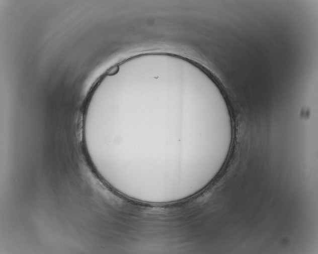 X0000111921510200908241038