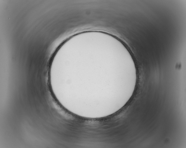 X0000111921511200908241038